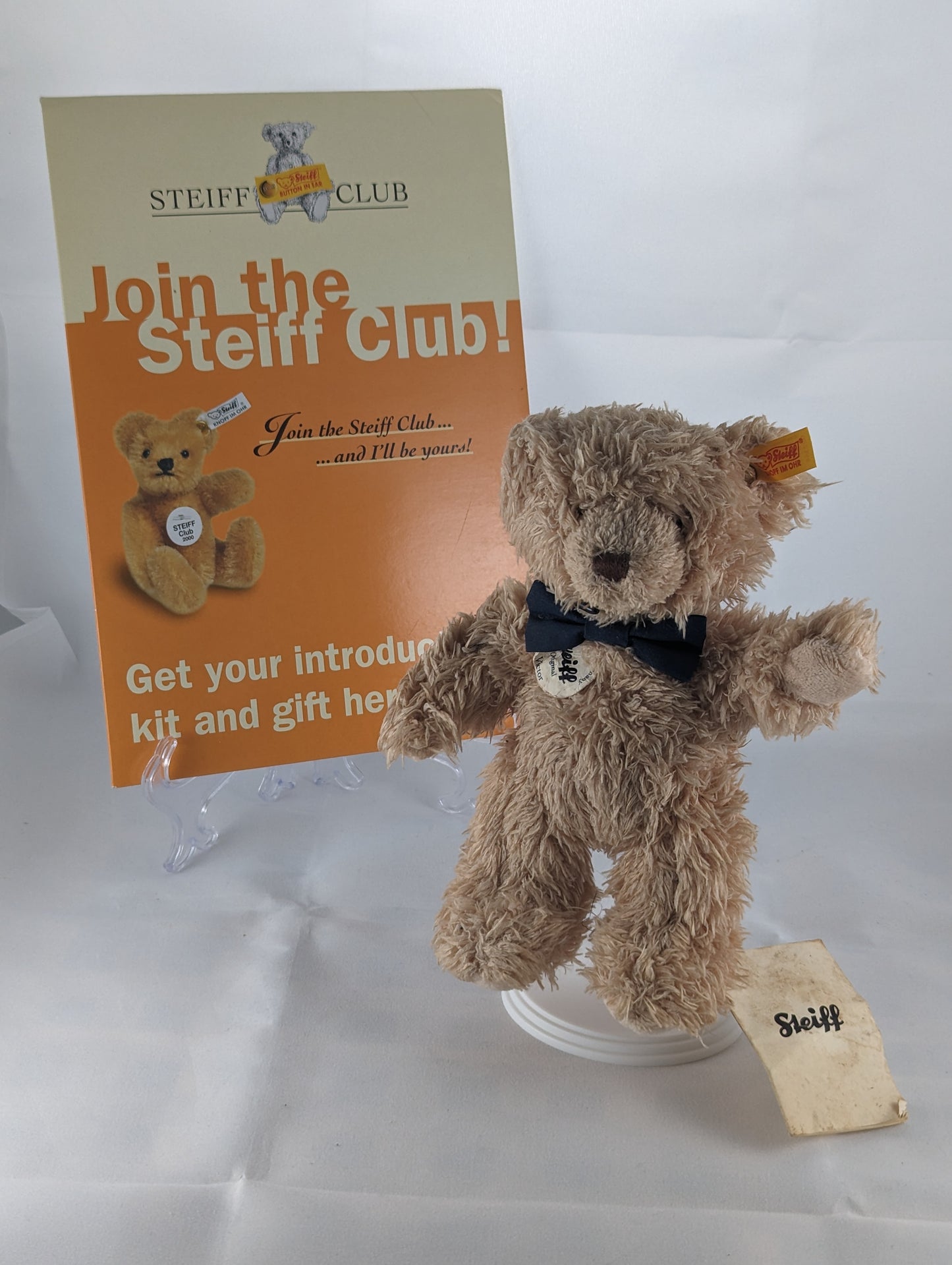 Steiff Victor Teddy (Vintage)