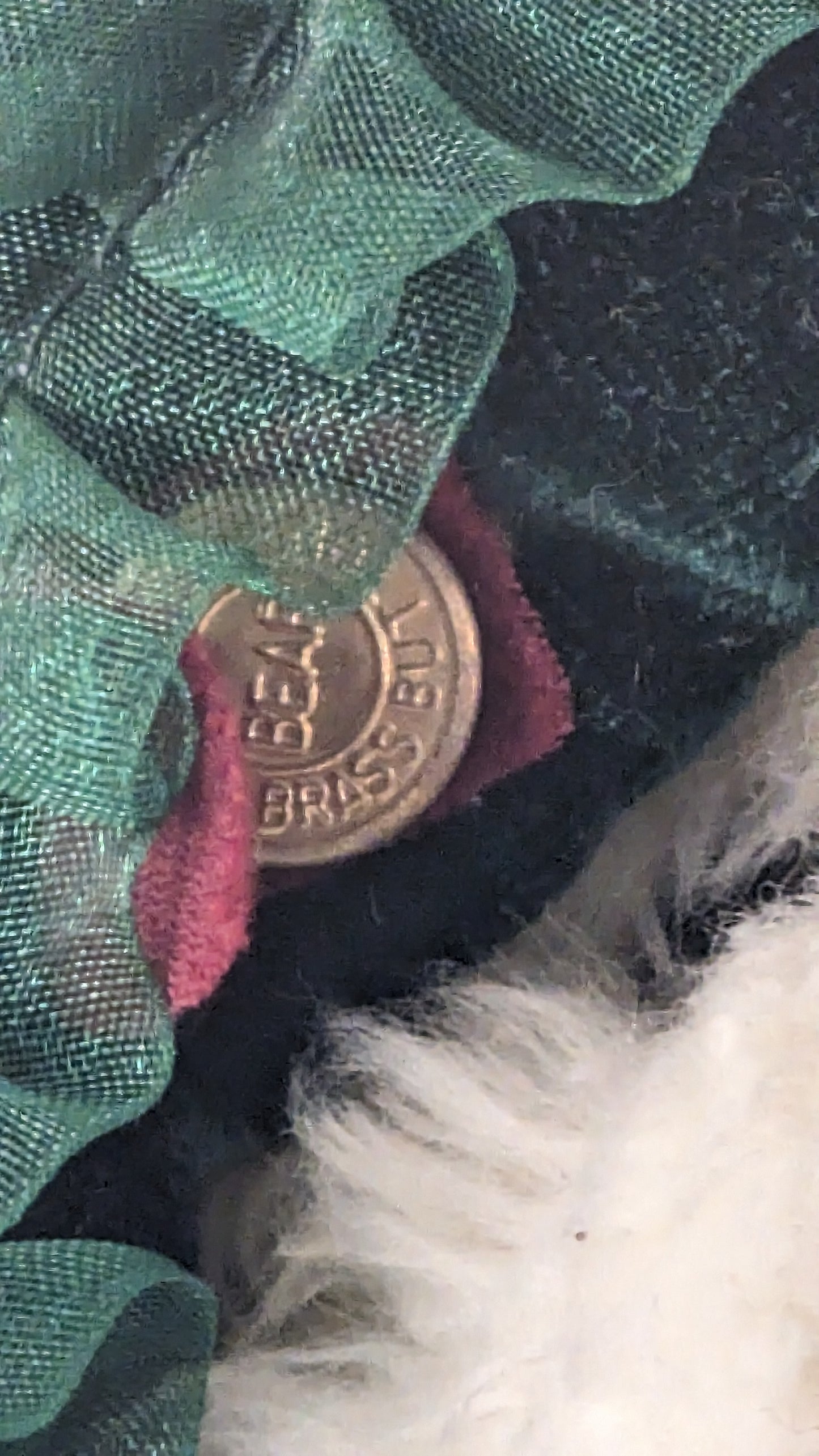 Brass Button Bear 'Bianca'